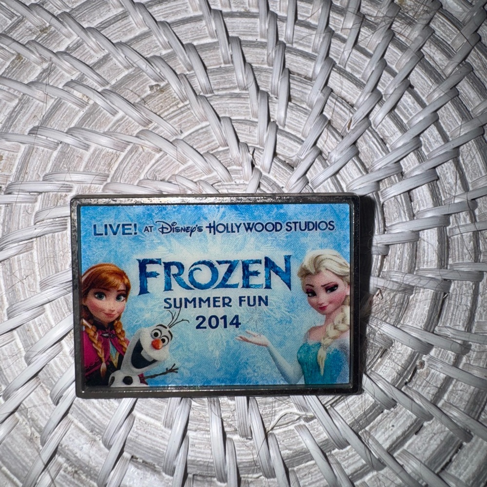 RARE Frozen Summer Fun 2014 Hollywood Studios Disney Pin